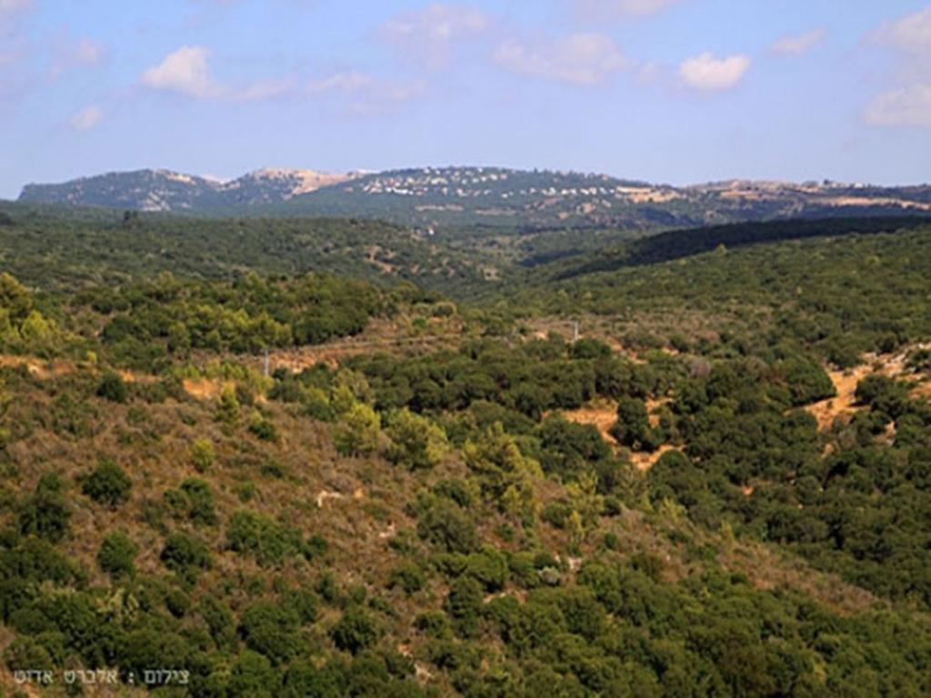 Between Sunrise And Sunset Suites Ya'ara Bagian luar foto